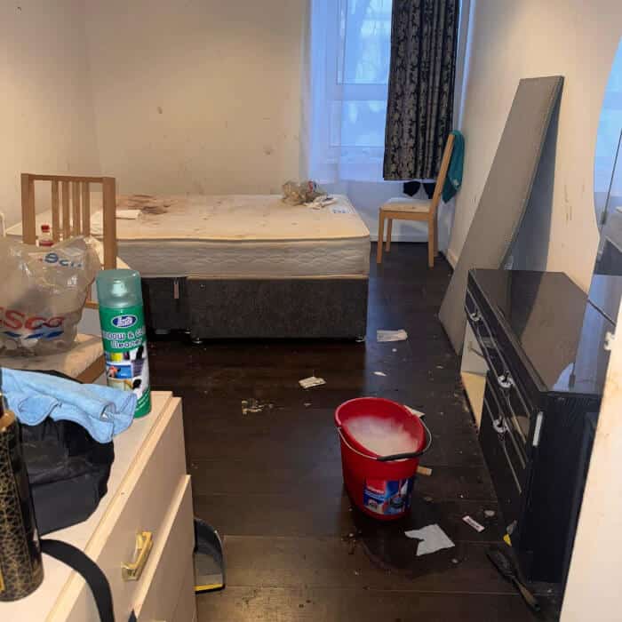 Local Cleaning Company Callander